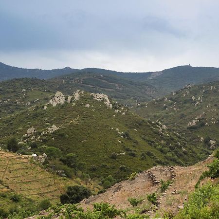 Gite Rez De Chaussee Entre Mer Et Montagne קוליור מראה חיצוני תמונה