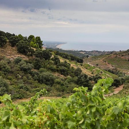 Gite Rez De Chaussee Entre Mer Et Montagne קוליור מראה חיצוני תמונה