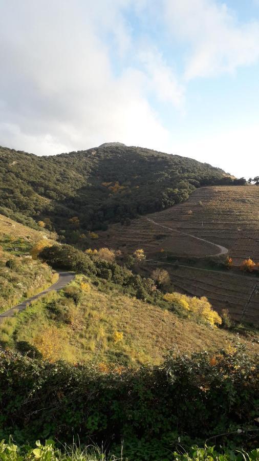 Gite Rez De Chaussee Entre Mer Et Montagne קוליור מראה חיצוני תמונה