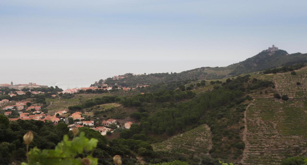 Gite Rez De Chaussee Entre Mer Et Montagne קוליור מראה חיצוני תמונה