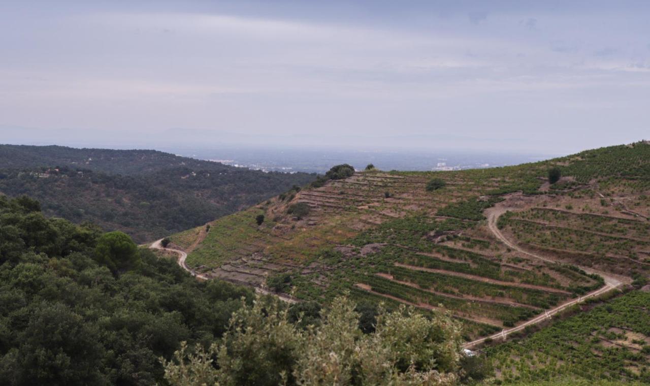 Gite Rez De Chaussee Entre Mer Et Montagne קוליור מראה חיצוני תמונה