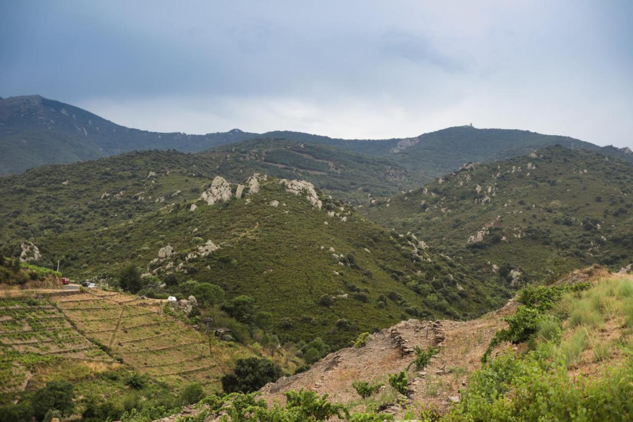 Gite Rez De Chaussee Entre Mer Et Montagne קוליור מראה חיצוני תמונה