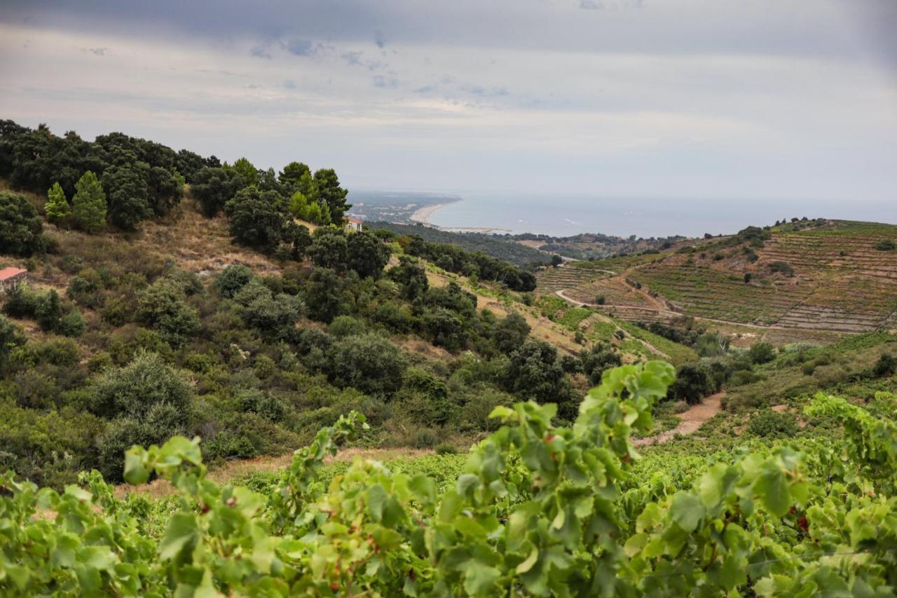 Gite Rez De Chaussee Entre Mer Et Montagne קוליור מראה חיצוני תמונה