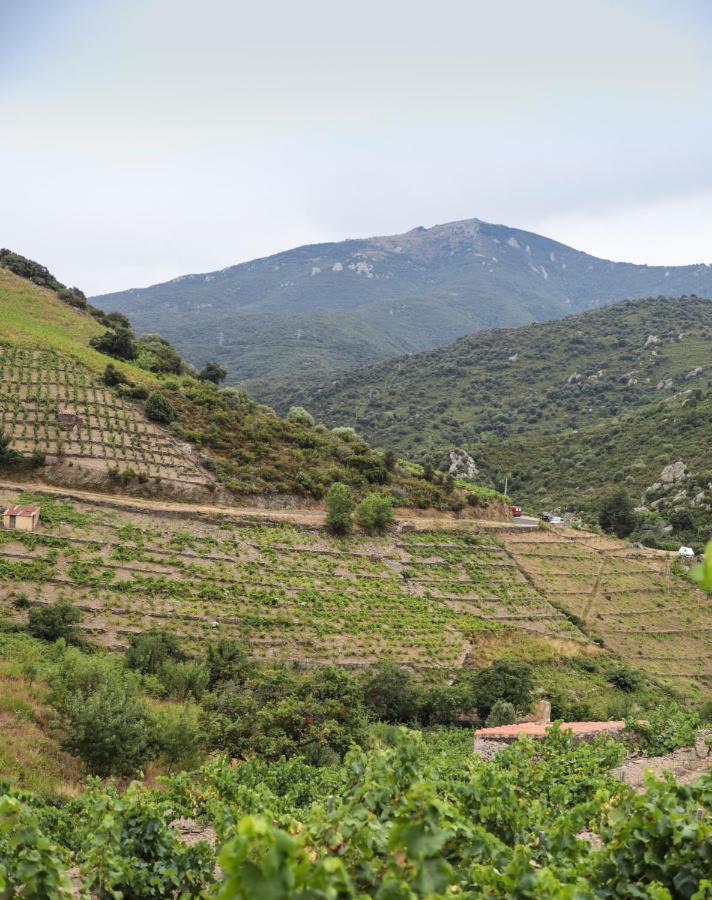 Gite Rez De Chaussee Entre Mer Et Montagne קוליור מראה חיצוני תמונה